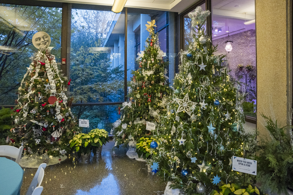 Frost – Cleveland Botanical Garden